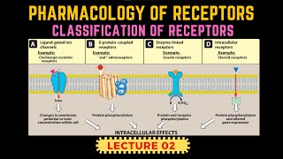 Types of Receptors  Receptors Pharmacology Part 2  GProtein Receptor By Muneeb [upl. by Lertsek743]