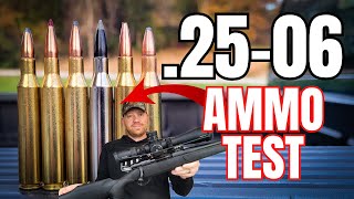 2506 Ammo Test Which one will win  Weatherby Vanguard Obsidian [upl. by Kolnos822]