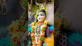 Jai jai shree radhe 🙏 radha shorts youtubeshorts bhajan shortvideo bhakti shortsfeed kanha [upl. by Kcirdlek]