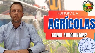 Fungicidas Agrícolas Tipos Modo de Ação e Cuidados no Uso  Agro é o Nosso Chão [upl. by Papert]