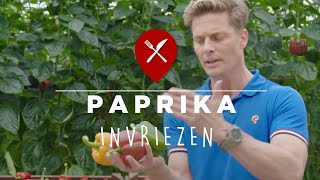 Paprika invriezen [upl. by Airdnaid]