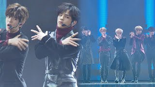 제33회 골든디스크 Stray Kids ′Intro I am NOT  WHO  YOU I am YOU′♪ [upl. by Wolgast901]