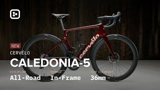 NEW Cervélo Caledonia5 With InFrame Storage  First Impressions [upl. by Laeria]