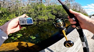 Florida Everglades Roadside Canal Fishing Underwater [upl. by Aigneis967]