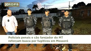 Policiais penais e cão farejador do MT reforçam busca por fugitivos em Mossoró [upl. by Eitsirk]