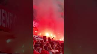 E o Benfica É CAMPEAO 🔥🔥 [upl. by Ydnagrub]