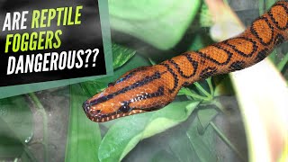 DIY Reptile Fogger AVOID 2 COMMON MISTAKES [upl. by Yrrek]