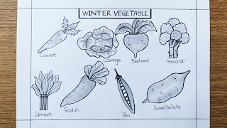 Vegetables drawing  Winter season Vegetables  School project [upl. by Oidale]