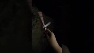 Balisong flip penspinning balisongknife balisongcommunity balisongknives balisongtricks [upl. by Aiuqal]