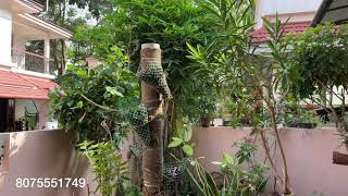 4 BHK Villa For Sale In Ernakulam  Kakkanad [upl. by Atsyrc]