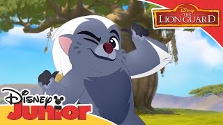 The Lion Guard  Bunga the Wise Music Video  Official Disney Junior Africa [upl. by Lorinda]