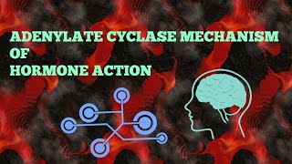 Adenylate Cyclase Mechanism of Hormone Action  cAMP Mechanism [upl. by Eisor]