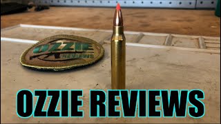 Beginner Basics 16 The 223 Remington Caliber proscons [upl. by Leesa910]