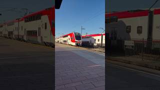 Caltrain meet at Hayward park railcar railway automobile railroad train railfan railfaning [upl. by Flemming]