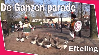 Ganzen parade  efteling Avrotros ledendag 1232016 [upl. by Scrogan]