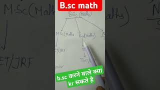 bsc math ke baad kya kre viralvideo bscmaths viralshorts [upl. by Aissat]