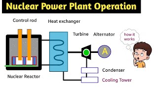 nuclear power plant  nuclear power plant working  in hindi  animation  nuclear reactor  layout [upl. by Arocahs]