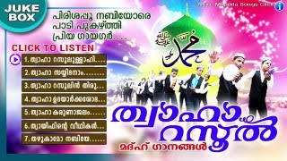 Thwaha Rasool  ത്വാഹാ റസൂൽ  Islamic Devotional Songs  Madh Songs Malayalam  Mappila Pattukal [upl. by Naillil]