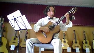 Alhambra 4P Guitar with Sound Resonator  Prelude No 1 Excerpt  Heitor VillaLobos [upl. by Renado]