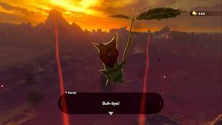 Zelda Breath of The Wild 100  All Koroks  Hyrule Castle [upl. by Leonardi595]