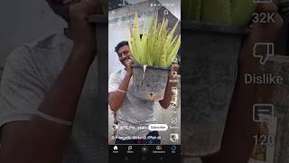 Kalamanda soda anta roi😰 viralvideo telugu trending kalabanda aloveravillagestyle sodafood [upl. by Clea328]