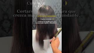 CALENDARIO LUNAR NOVIEMBRE 2023  que días cortar tu cabello para que crezca más Rapido haircut [upl. by Hughes586]