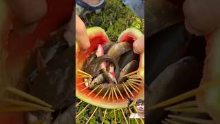 Wow 😳 fishing😱 fishing watermelon fruit satisfying fish bushcraft camping outdoors [upl. by Culliton179]