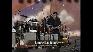 Los Lobos Bertha live 1997 Furthur Festival concert performance [upl. by Shaylyn]