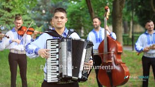 Darius Pirvu  Instrumentala Acordeon 2018 [upl. by Nicol]