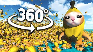 Banana Cat 50000 TIMES 360°  VR360° Experience [upl. by Fax]