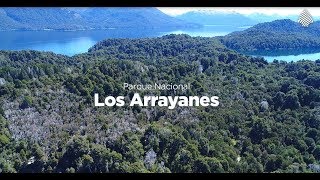 Parque Nacional Los Arrayanes [upl. by Kenton]