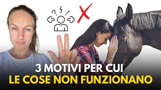 Problemi con il cavallo 3 motivi per cui le cose NON funzionano [upl. by Osmen]