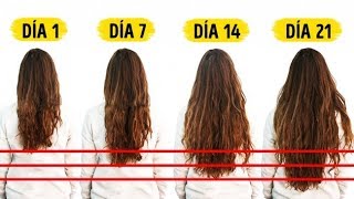 7 Alimentos Que Necesitas Para Acelerar El Crecimiento Del Cabello [upl. by Narol80]