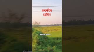 চলনবিল নাটোর shorts natore viralsong MrJahed cholonbil trendingsong subscribe [upl. by Omlesna]