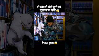 इस प्यारे से कुत्ते के बच्चे को उस आदमी ने चुरा लिया 😱  short anime cartoon dog [upl. by Hellman]