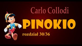 PINOKIO AUDIOBOOK  rozdział 3036  C Collodi  Pinokio zamiast stać się chłopcem ucieka [upl. by Gabbey]