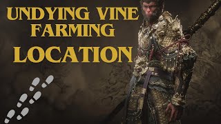 Undying Vine Farming Location Black Myth Wukong [upl. by Ditter]