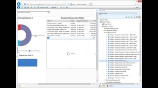 Proliance Software  Dashboards [upl. by Retse]