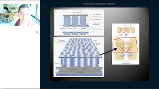 FISIOLOGIA RENAL  AULA 5 Função Tubular  Reabsorção e Secreção [upl. by Ruhtua]