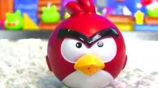 Epic Angry Birds War  Must See [upl. by Lepper]