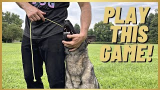 MUST PLAY GAME W YOUR DOG EASY OBEDIENCE FOR A BALL [upl. by Gotcher]