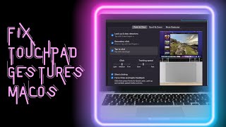 How to fix trackpad gestures on macOS [upl. by Elletnwahs368]