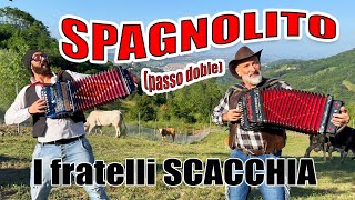 Spagnolito passo doble I FRATELLI SCACCHIA campioni del mondo di organetto [upl. by Crelin]