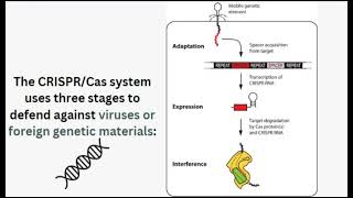 CRISPR cas system mechanisms Cas9Cas12Cas12Cas14 Genome editing [upl. by Ibib]