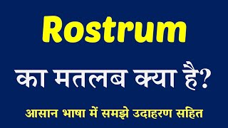 Rostrum meaning in Hindi  Explained Rostrum With Using Sentence [upl. by Rudd]