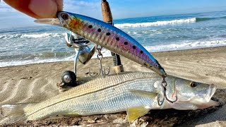 PESCA de RÓBALOS de PLAYA con MINNOW  JERKBAIT  MEDIA AGUA Pesca de ORILLA [upl. by Ilah]