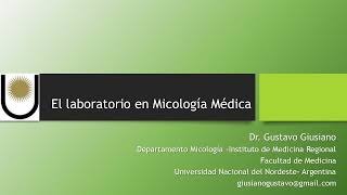 El laboratorio en Micología Médica Micosis sistémicas endémicas Paracoccidioidomicosis [upl. by Ahsiram560]