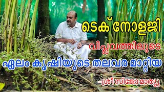 ഏല കൃഷിയിൽ അത്യുല്പാദനം quotടെക്നോളജി വിപ്ലവത്തിലൂടെ quot  CARDAMOM FARMING  Njaanoru Malayali [upl. by Hammel568]