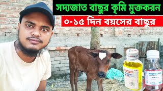 সদ্যজাত বাছুরের  ০১৫ দিন বয়সে কৃমিমুক্তকরন  basorer krimi owsod  বাছুরের কৃমি  Calf worm [upl. by Gnim]