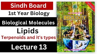 terpenoids  lipids  biological molecules class 11 biology Sindh board new book [upl. by Jenn377]